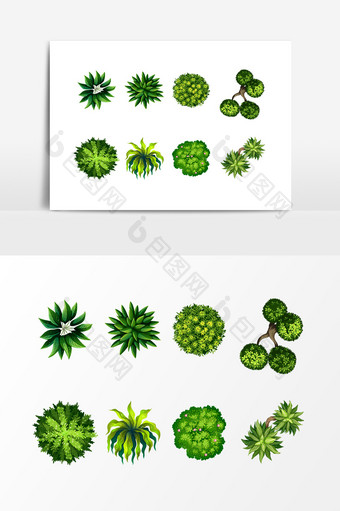 植物俯视效果设计素材图片