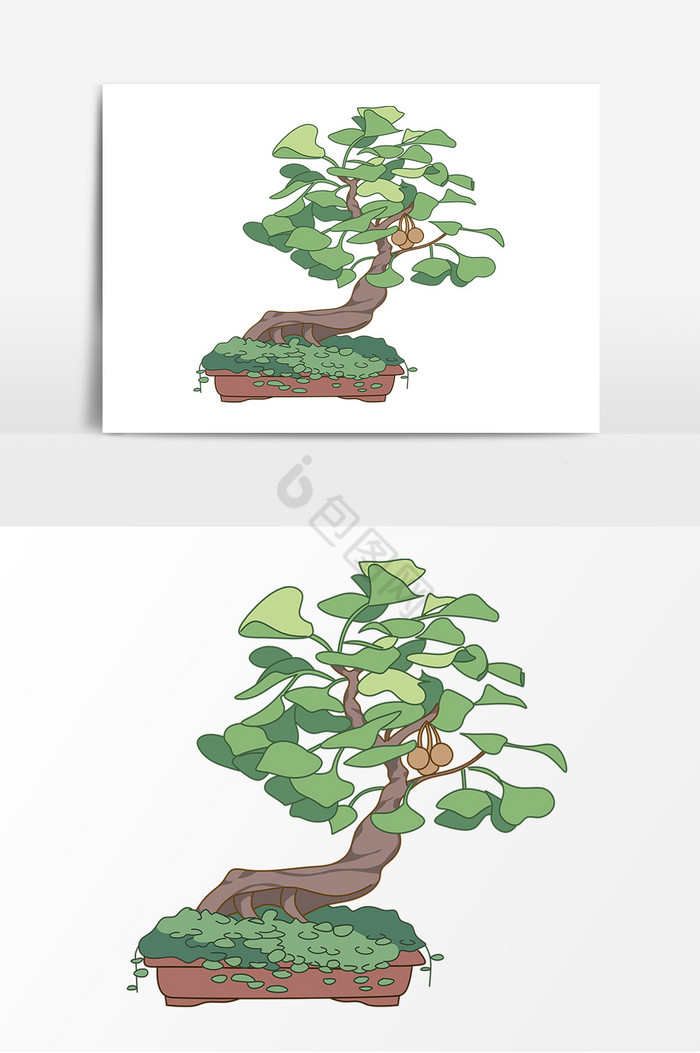 植物盆栽银杏树形象图片