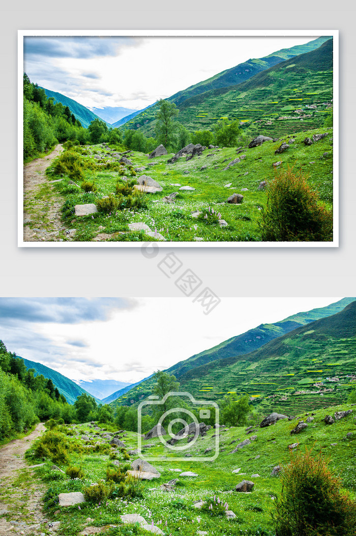 四川四姑娘山绿色植被青山旅行徒步景色图片