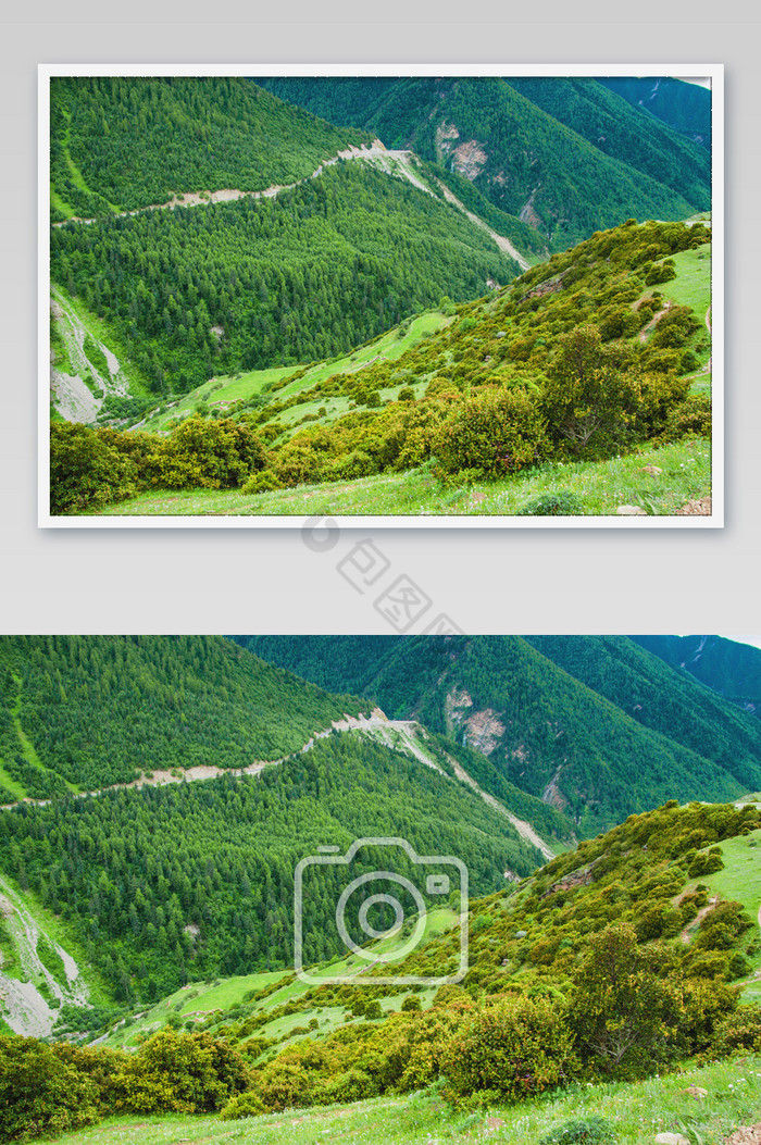 四川四姑娘山绿色植被青山旅行大自然景色图片