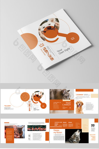 整套桔色动物宠物画册设计排版图片
