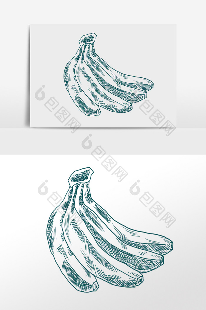 手绘线描简笔画水果香蕉插画
