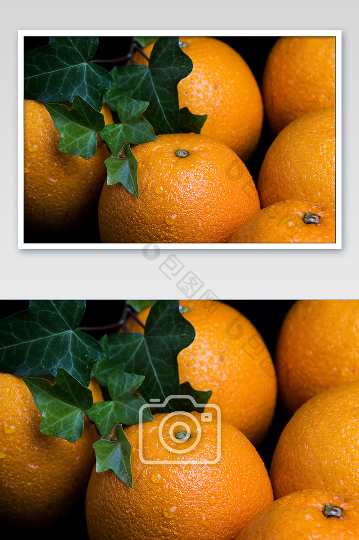 新鲜橙子平铺摄影图图片图片