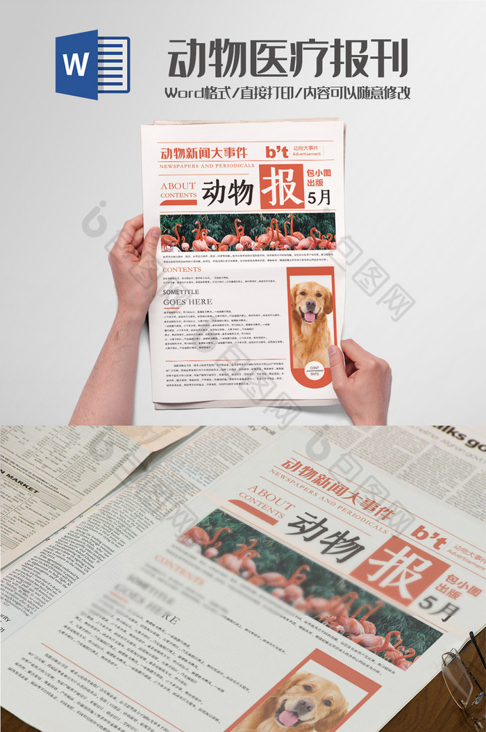 动物世界文化报刊报纸排版设计Word模板