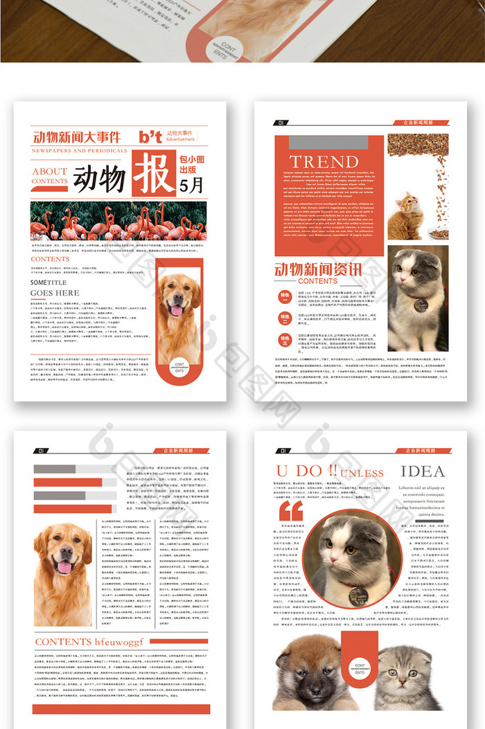 动物世界文化报刊报纸排版设计Word模板