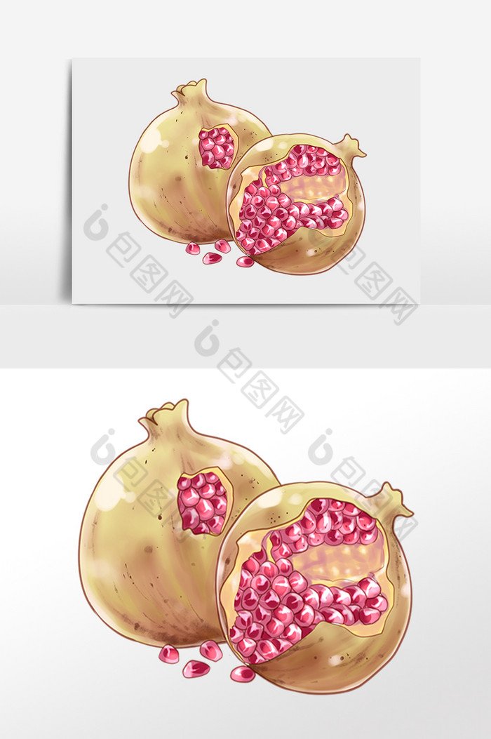 新鲜夏季水果石榴插画图片图片