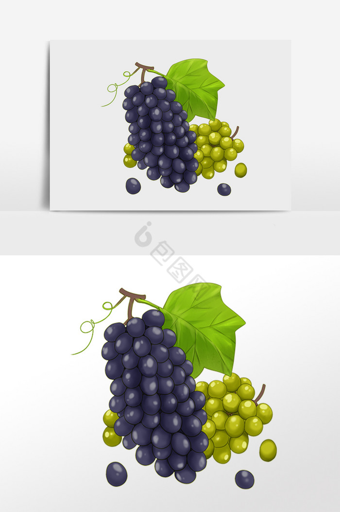 新鲜夏季水果葡萄插画图片