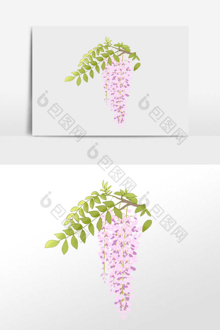 手绘绿色植物花朵紫色花草插画