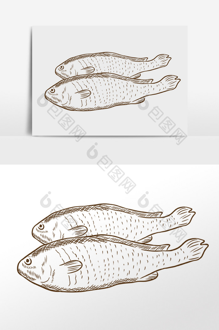 手绘简笔画线描海鲜黄花鱼插画