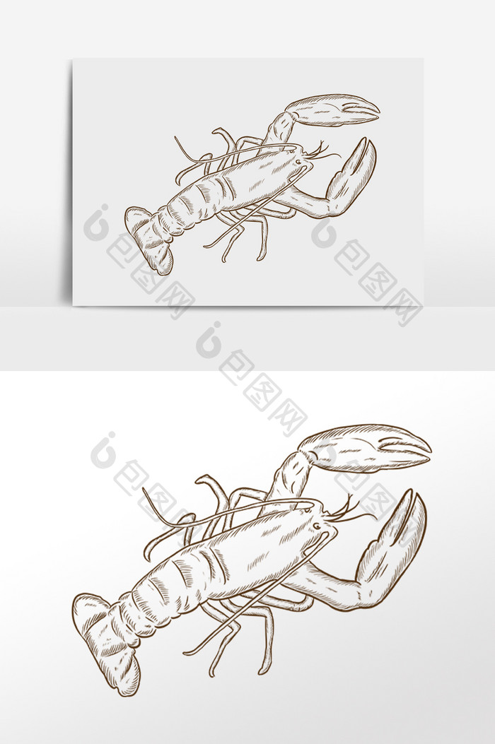 手绘简笔画线描海鲜龙虾插画
