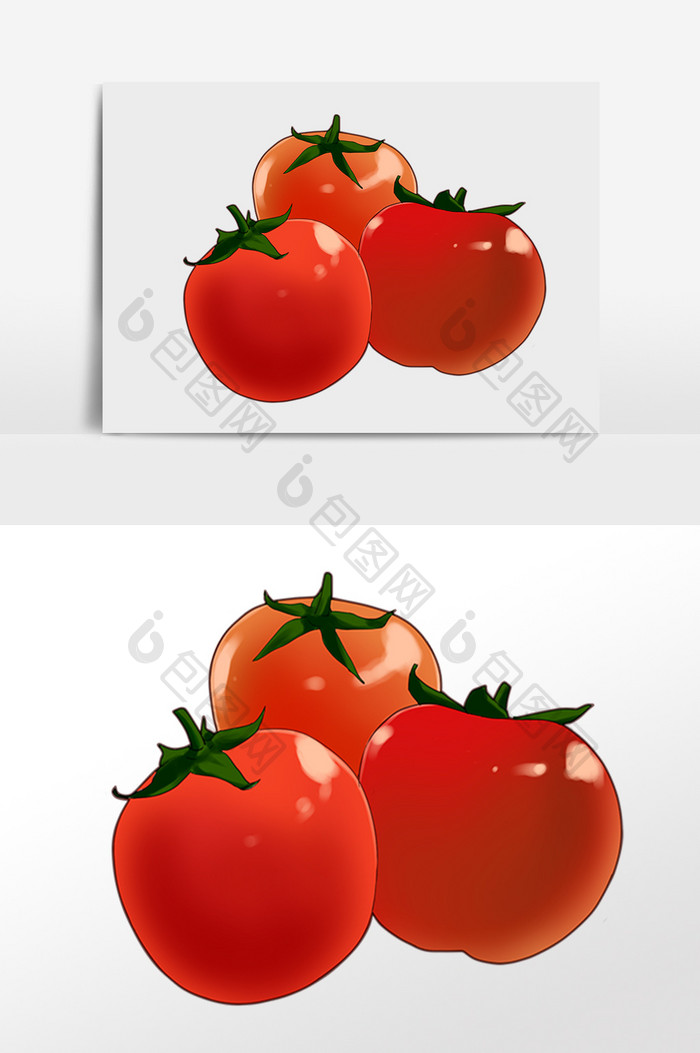 手绘新鲜食品蔬菜西红柿插画