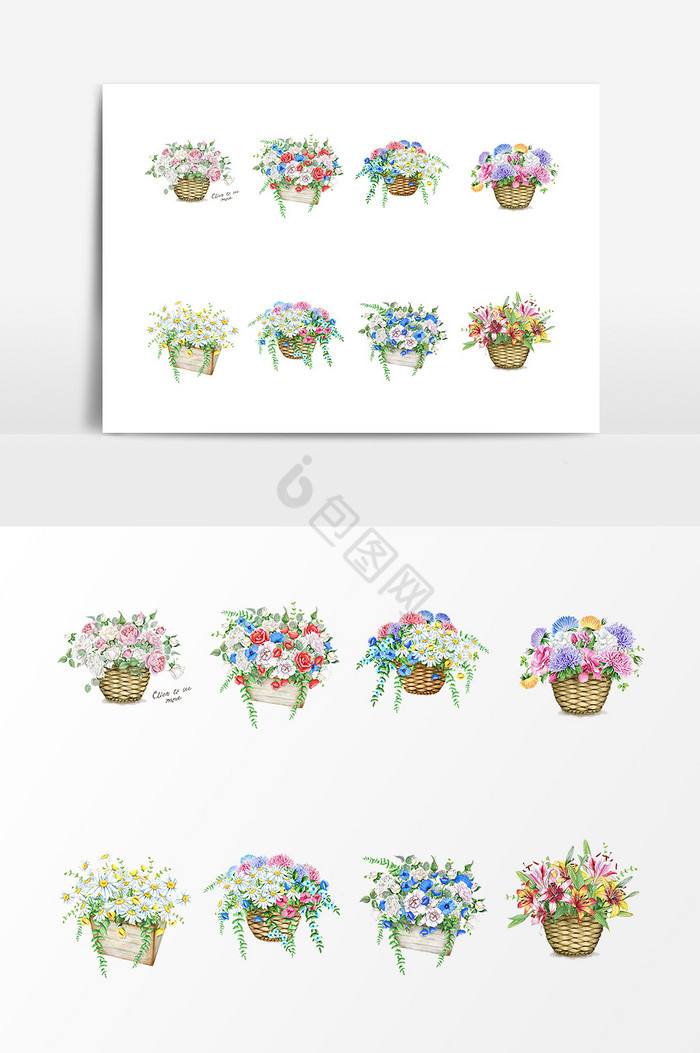 多种植物花卉盆栽图片