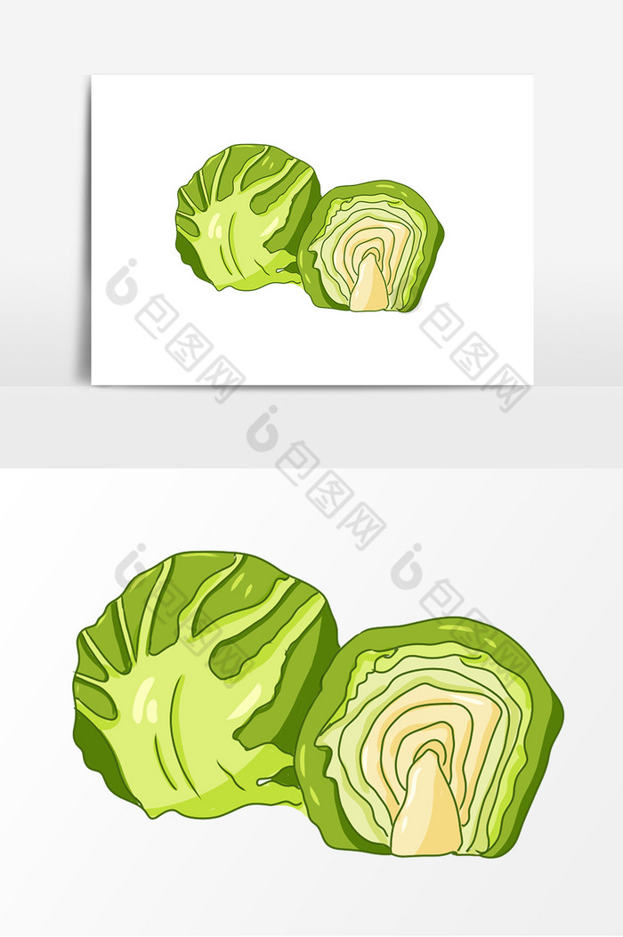 蔬菜卷心菜图片图片