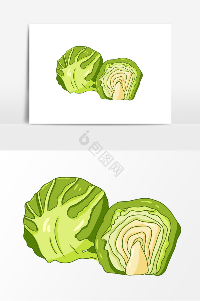 蔬菜卷心菜图片