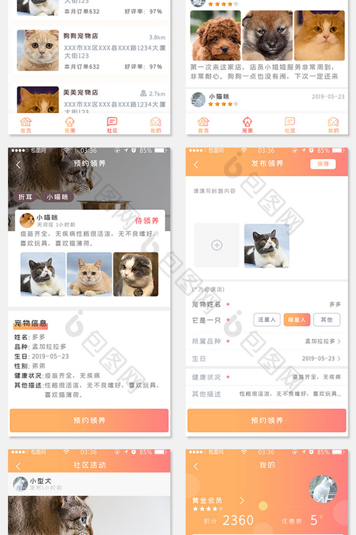 渐变黄橙色扁平简约宠物APP界面套图