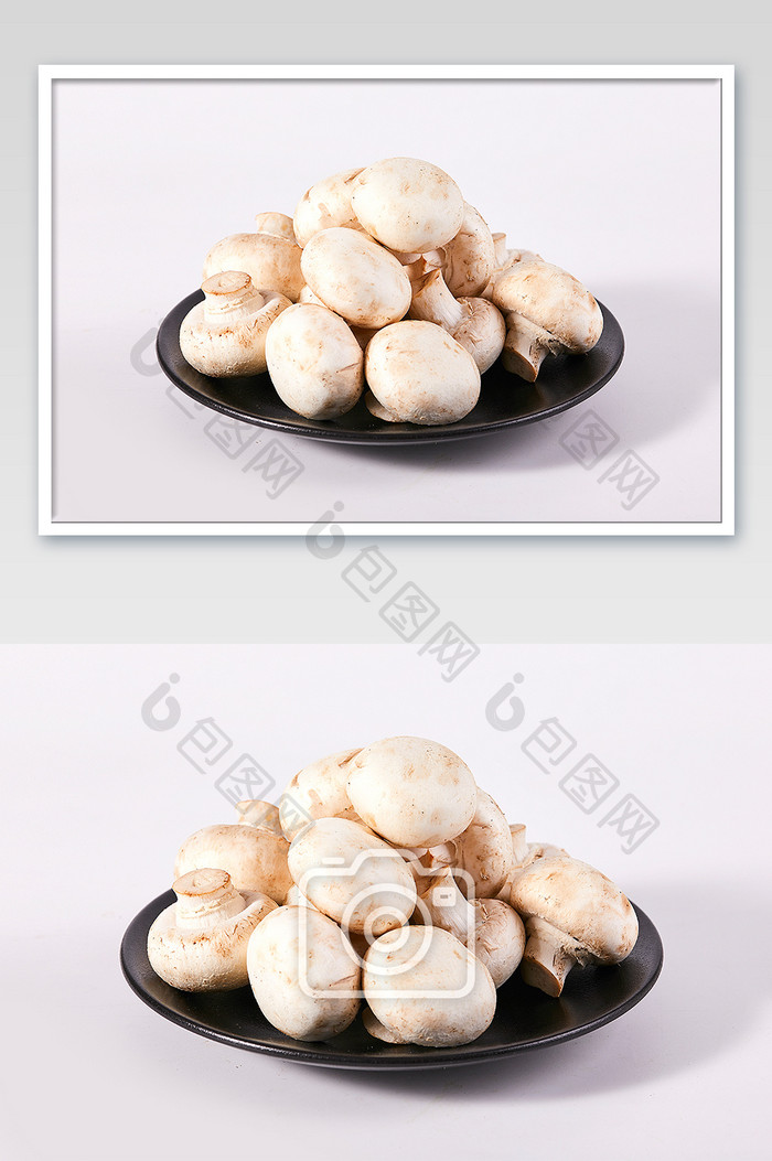 白色白蘑菇菌菇新鲜蔬菜白底图美食摄影图片