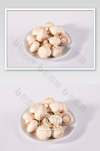 白色白蘑菇新鲜蔬菜菌菇白底图美食摄影图片