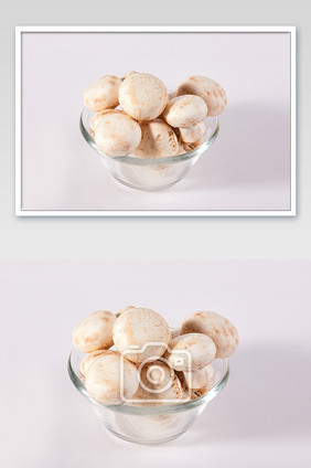 白色白蘑菇新鲜蔬菜白底图美食摄影图片