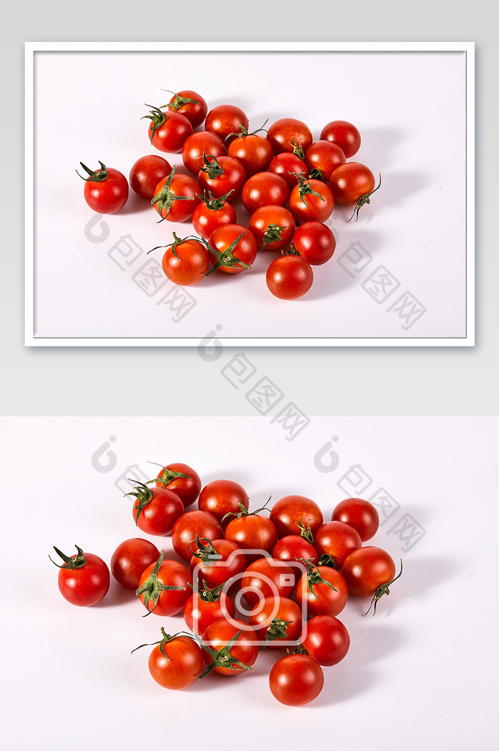 红色纯枝小番茄白底水果新鲜美食摄影图片