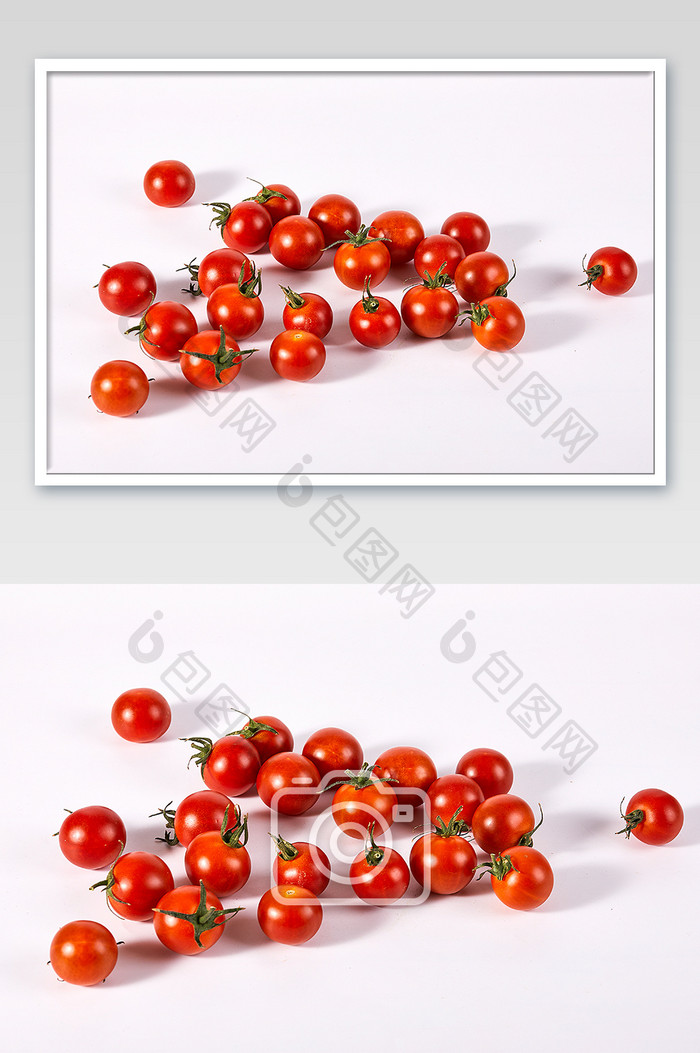红色纯枝小番茄水果白底新鲜美食摄影图片