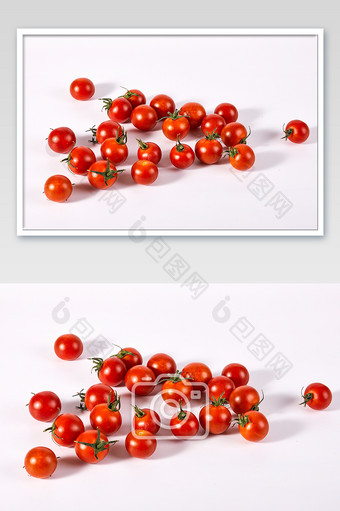 红色纯枝小番茄水果白底新鲜美食摄影图片