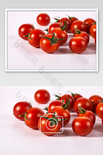 红色纯枝糖果番茄水果白底新鲜美食摄影图片