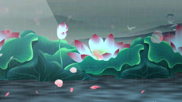 中国风荷花雨天气动态背景视频