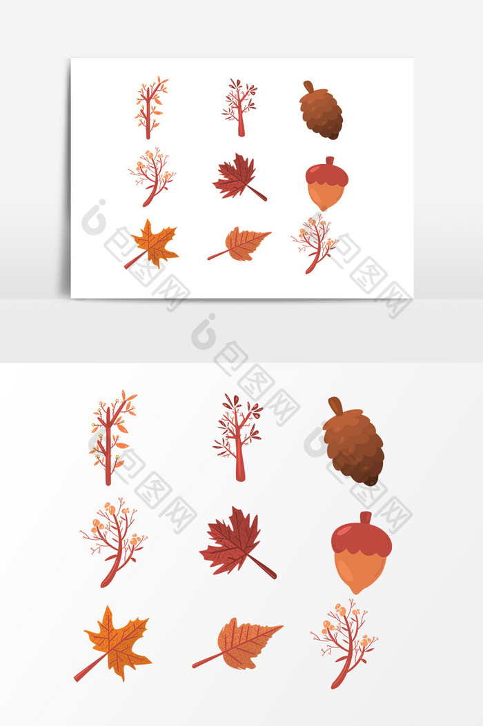 秋天植物叶片松果设计素材