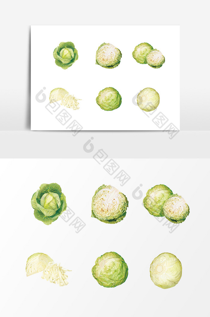 绿色新鲜蔬菜包菜设计元素