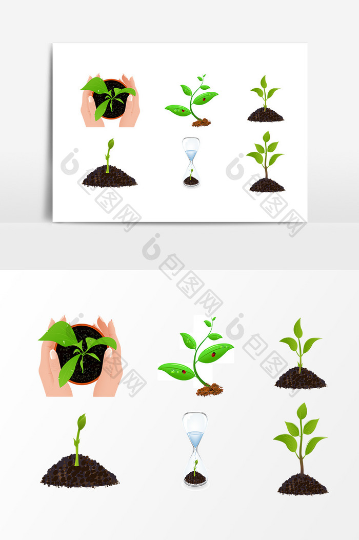 绿色植物成长发芽过程 Ai素材 包图网