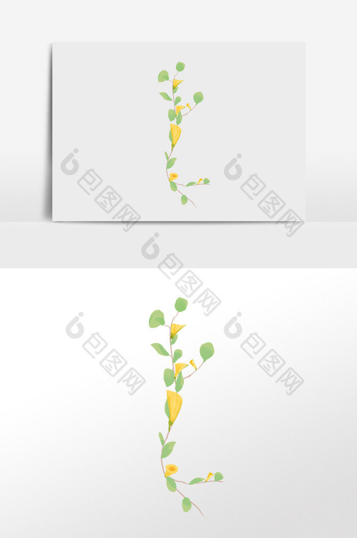 花朵植物花藤枝藤插画图片图片