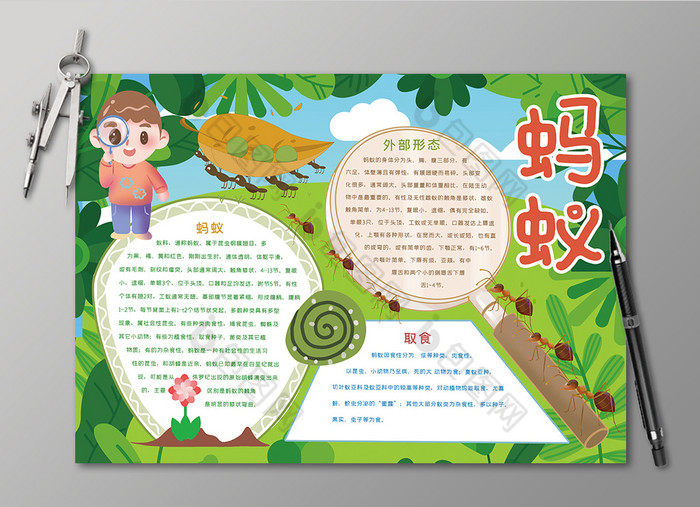 蚂蚁昆虫观察黑白线描小报
