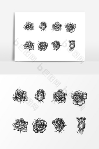 黑色植物玫瑰花花朵设计素材图片