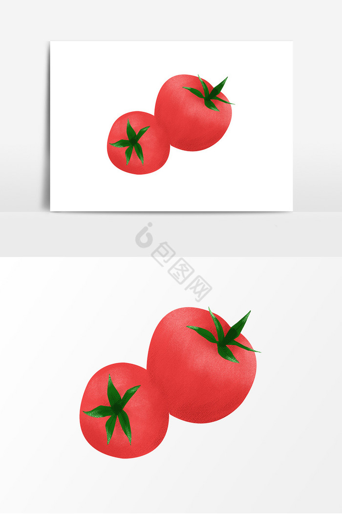 蔬菜番茄西红柿图片