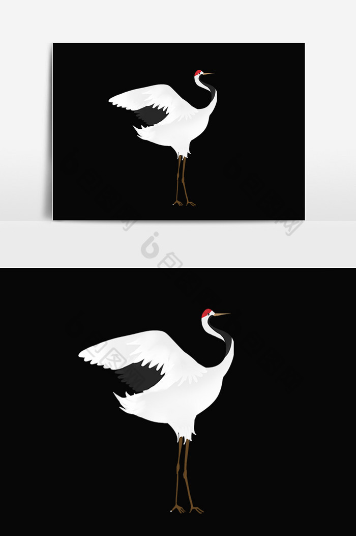 红顶鹤野生动物插画图片图片