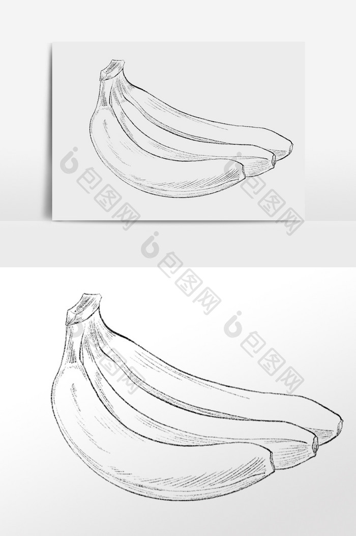 手绘线描素描夏季水果香蕉插画