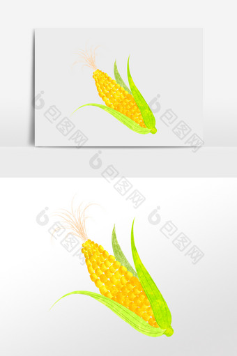 手绘绿色农作物农产品玉米插画图片