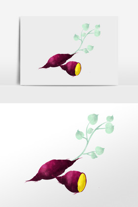 农作物红薯枝藤插画图片