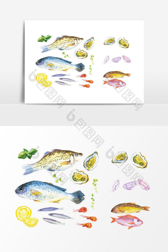 海鲜鱼类扇贝设计素材