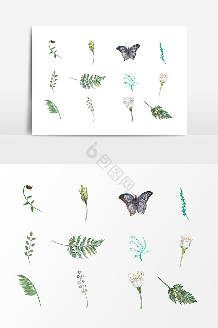 植物叶片枝叶蝴蝶图片