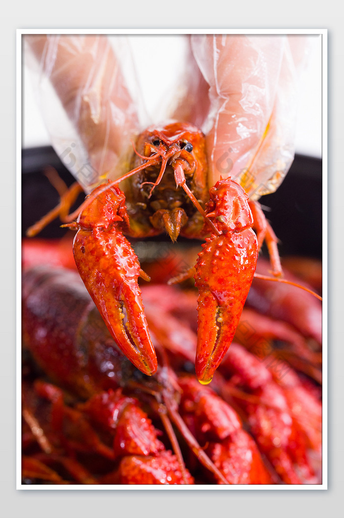 手拿起小龙虾竖版拍摄红色美食大排档海鲜图片图片