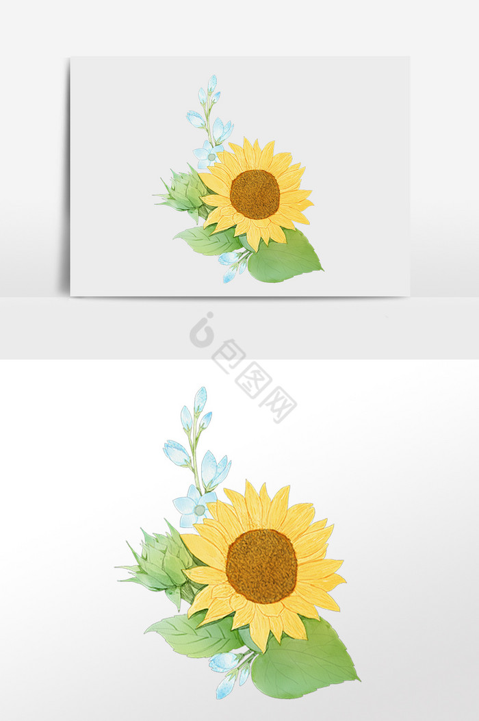 向日葵太阳花插画