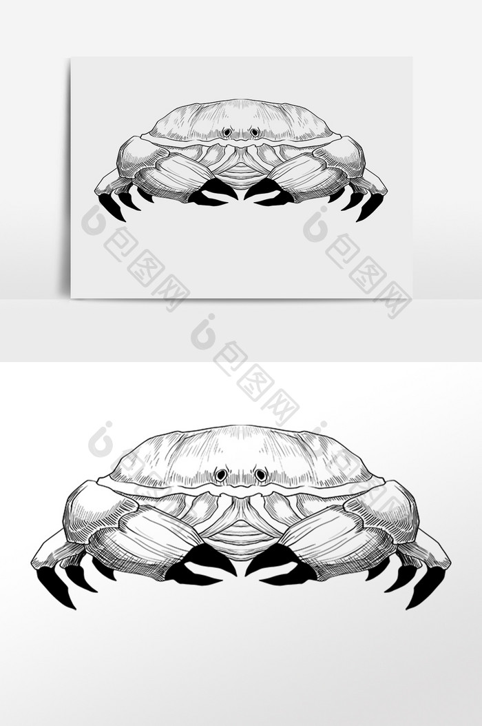 手绘线描素描水生物螃蟹插画