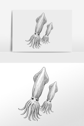 手绘线描素描水生物鱿鱼插画