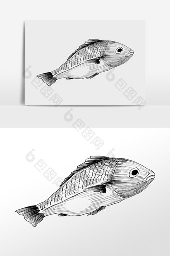 手绘线描素描水生物小鱼插画图片