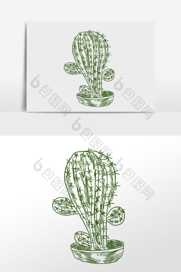 手绘线描素描热带仙人球植物插画