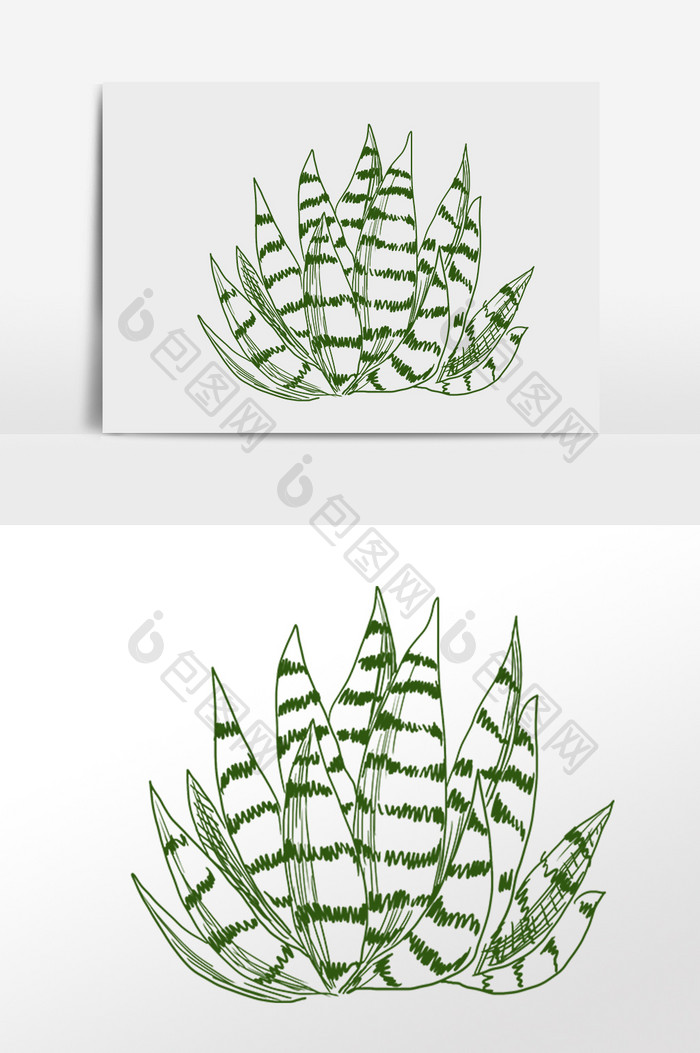 手绘线描素描热带植物插画
