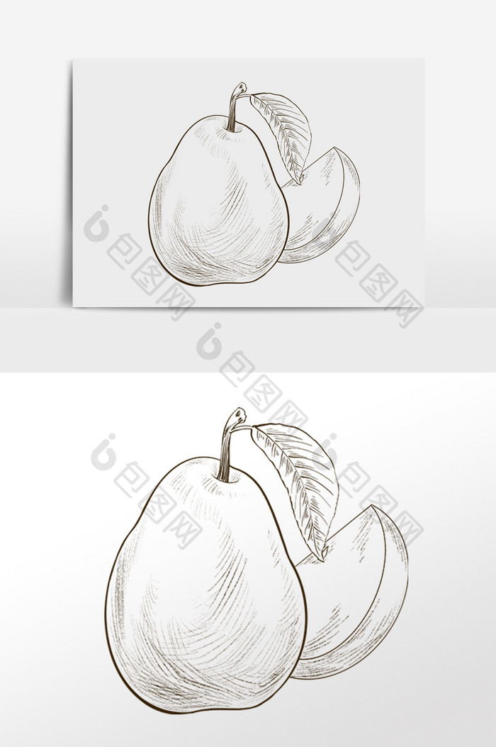 线描素描水果梨子插画
