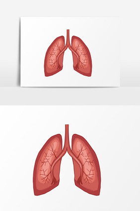 卡通手绘肺部元素