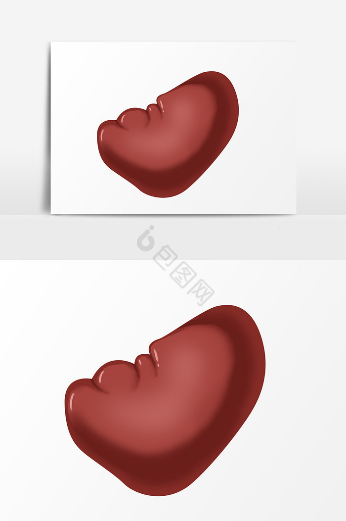 脾图片-脾素材免费下载-包图网